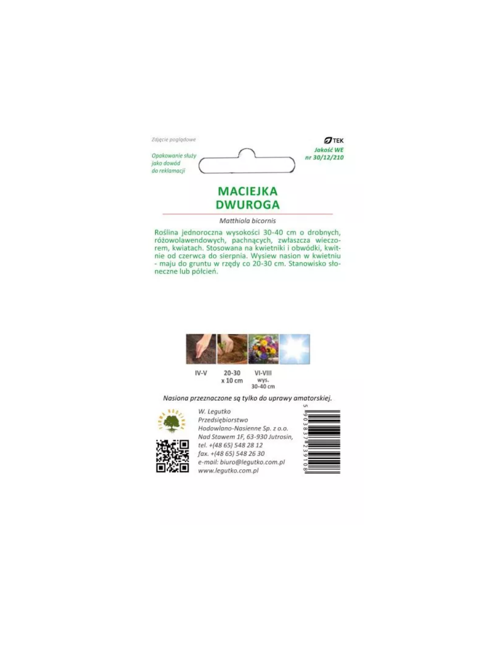 Maciejka dwuroga różowolawendowa