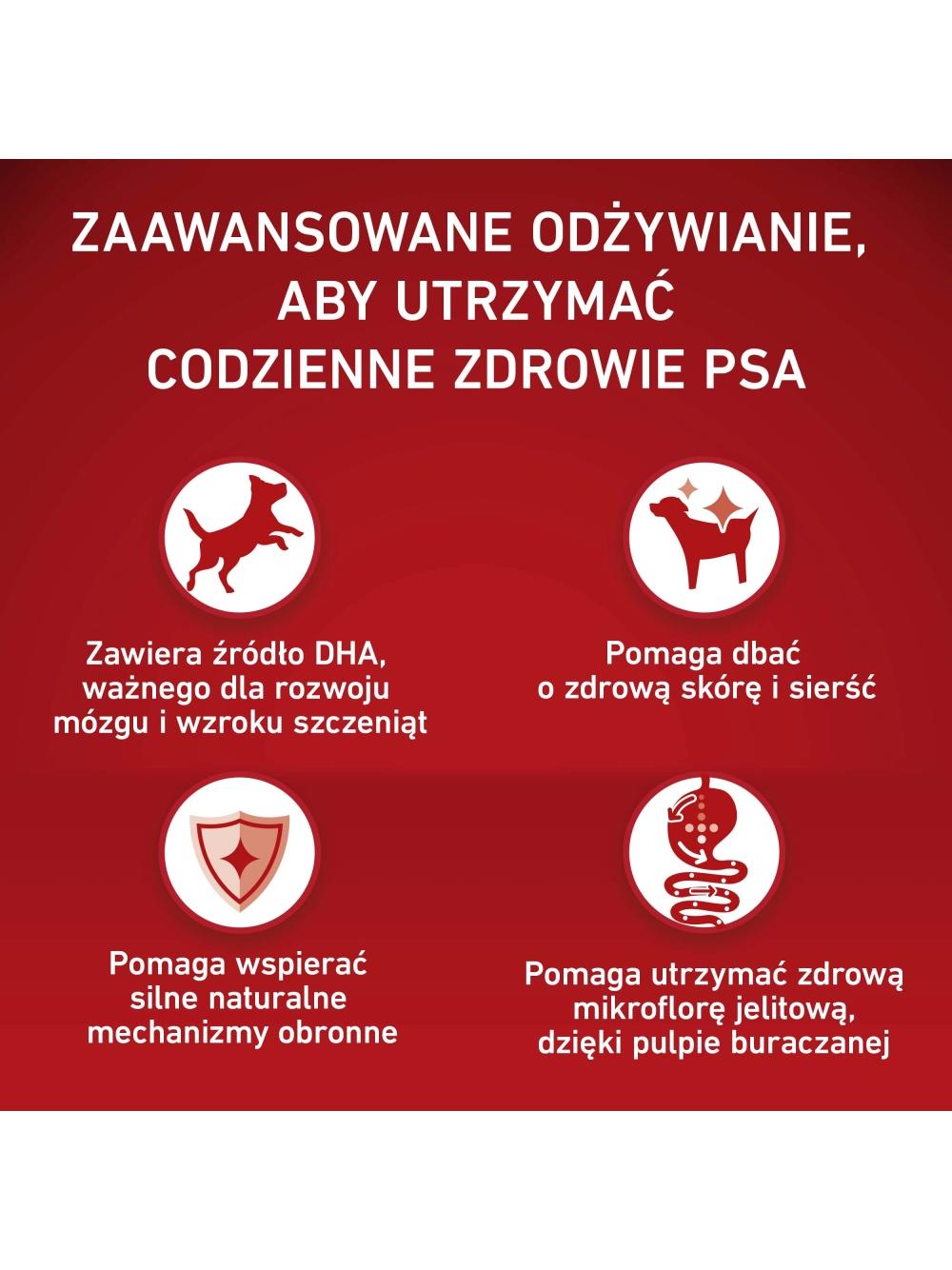PURINA ONE Junior Medium/Maxi Karma dla szczeniąt bogata w kurczaka z ryżem 2x7 kg