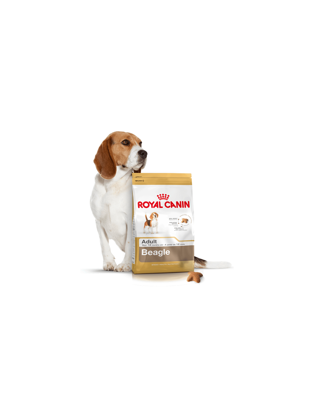 ROYAL CANIN Beagle Adult 12kg karma sucha dla psów dorosłych rasy beagle + niespodzianka dla psa GRATIS!