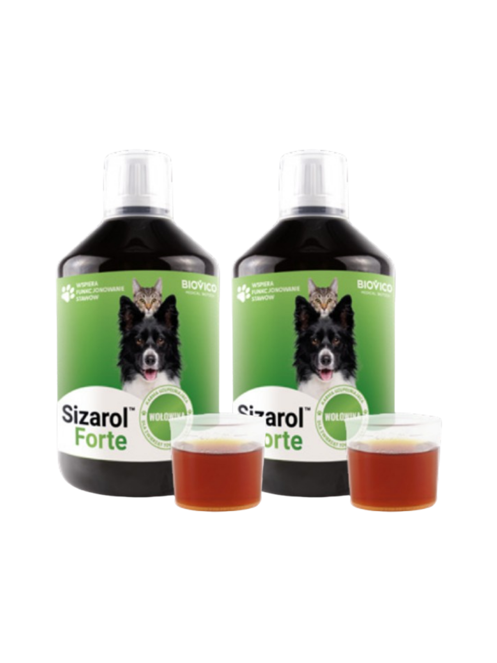 BIOVICO Sizarol Forte 2x250 ml