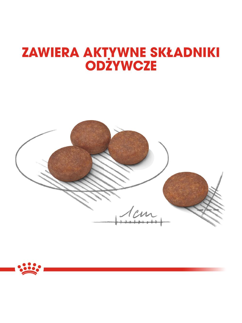 ROYAL CANIN CCN Mini Digestive Care 1kg karma sucha dla psów dorosłych, ras  małych o wrażliwym przewodzie pokarmowym