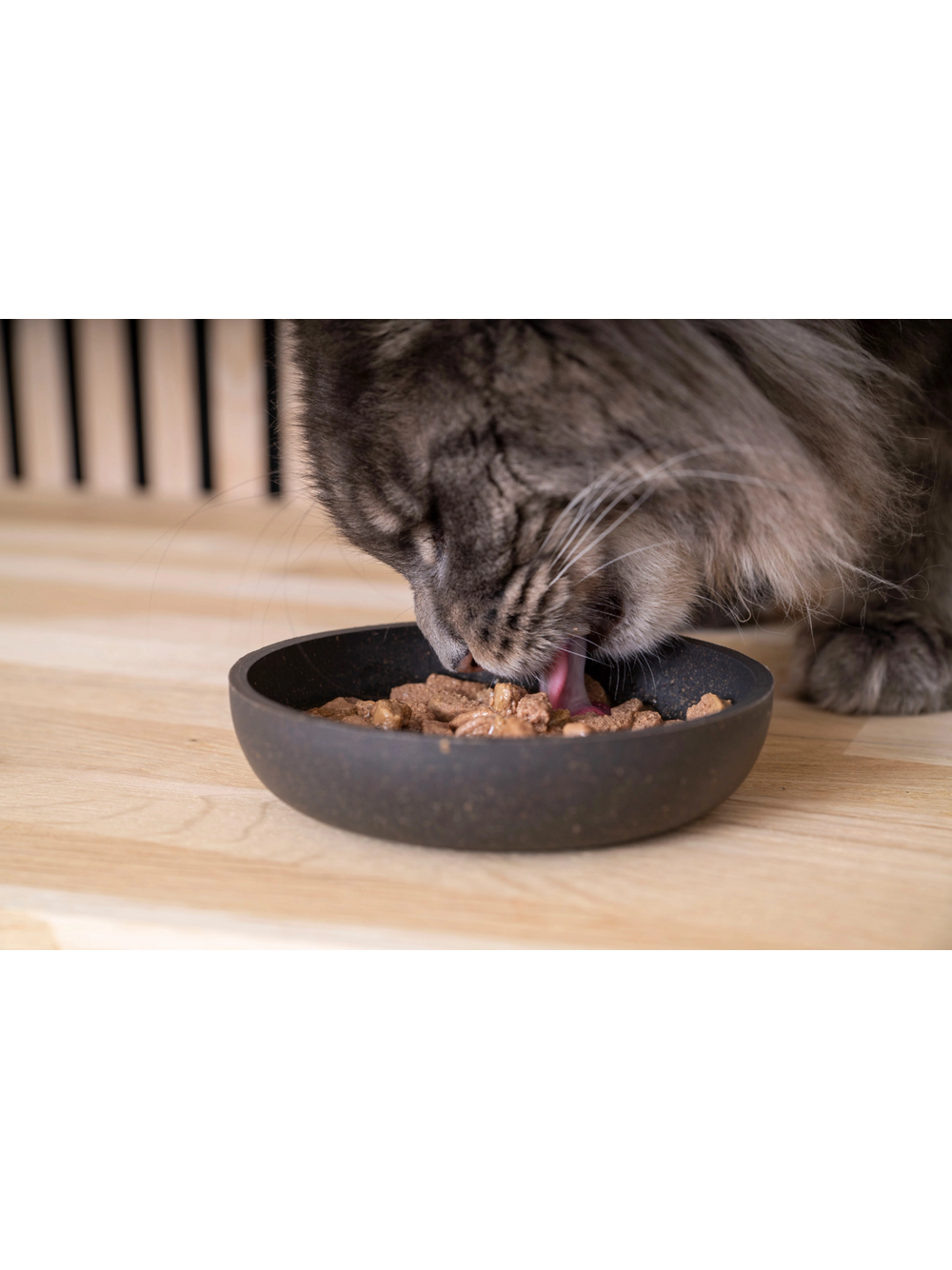 VIRBAC Adult Neutered Cat with salmon 12 x 85 g karma mokra dla kotów sterylizowanych z łososiem