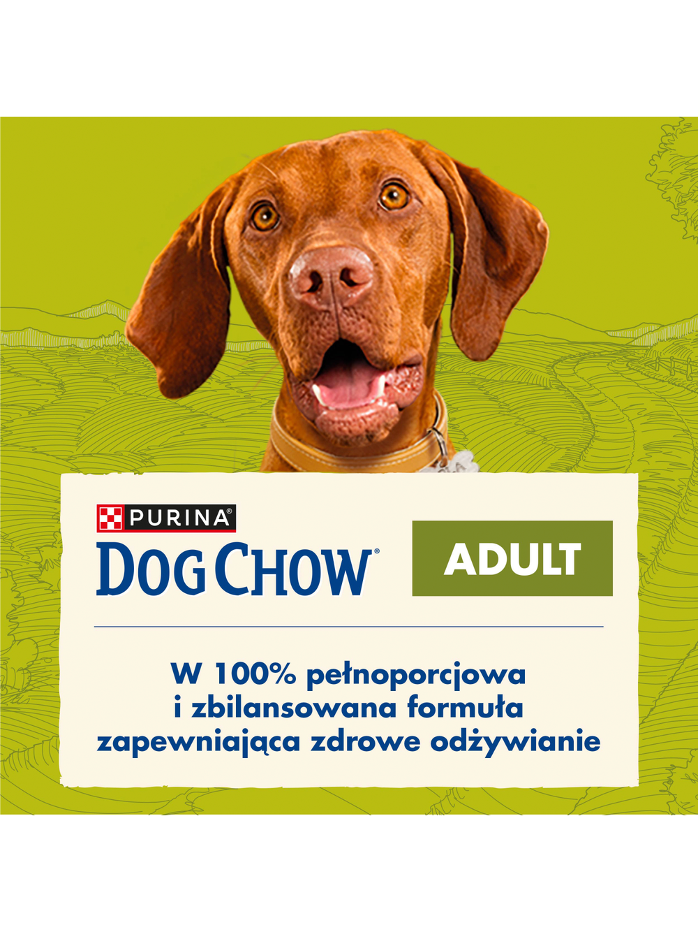 PURINA Dog Chow Adult  Lamb 14kg