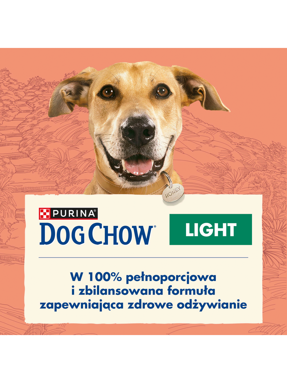 PURINA Dog Chow Adult Light Turkey 14kg