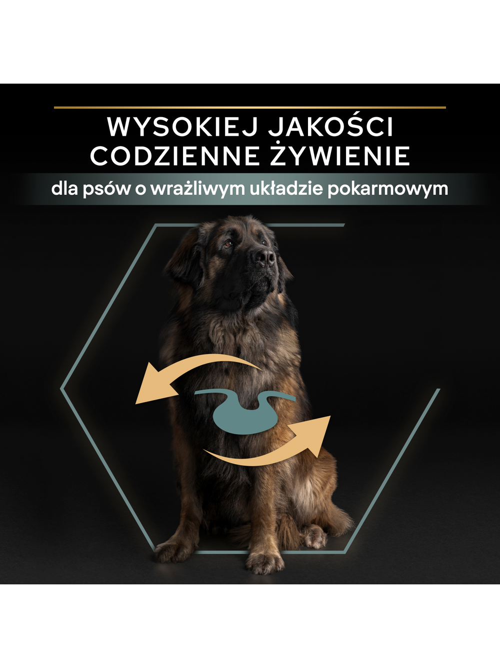 PRO PLAN Sensitive Digestion Large Robust Adult Karma dla psów bogata w jagnięcinę 14kg
