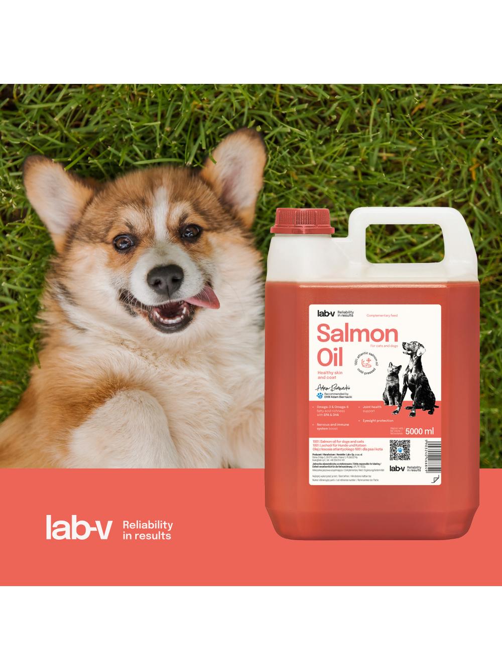Lab-v Olej z Łososia 100% Dla Psa i Kota w Każdym Wieku 5000 ml Tłoczony Na Zimno + NIESPODZIANKA DLA PSA GRATIS