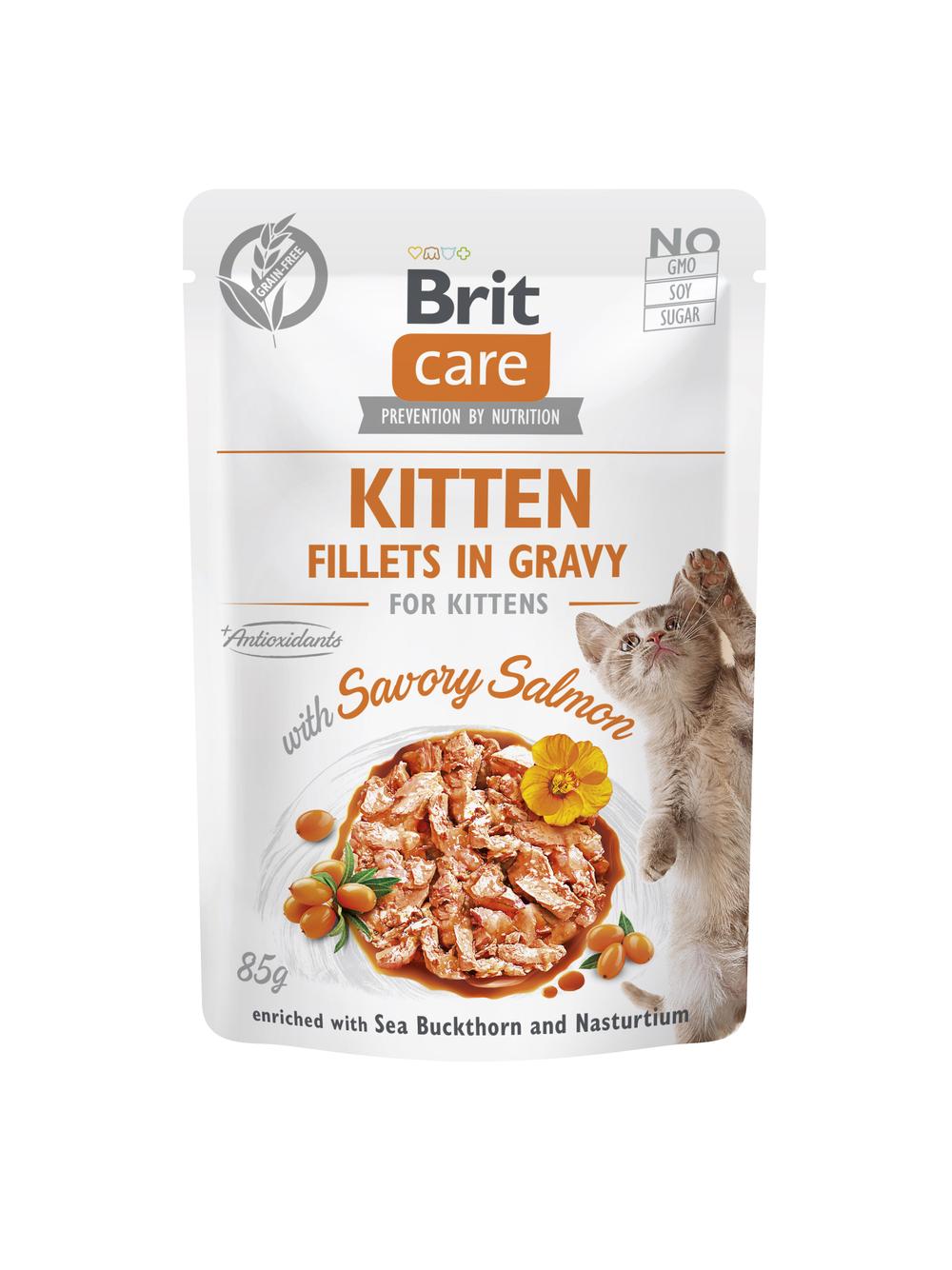 BRIT CARE Cat Kitten Fillets in Gravy with Savory Salmon Enriched with Sea Buckthorn and Nasturtium 24x85g