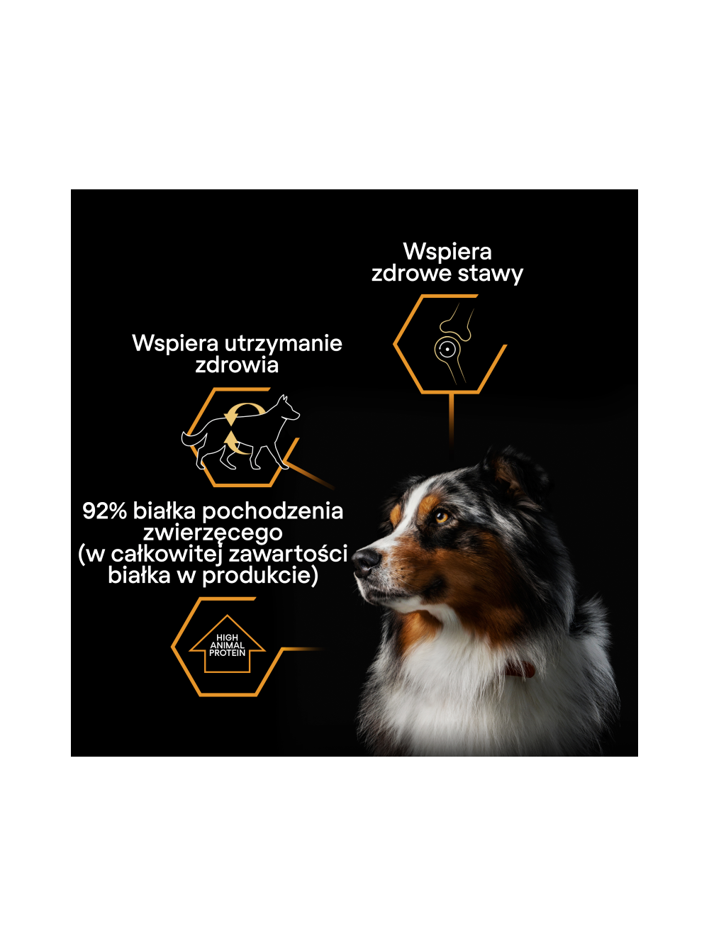 PRO PLAN Everyday Nutrition Adult Karma dla psów bogata w rybę w galaretce 400g + POKRYWKA GRATIS
