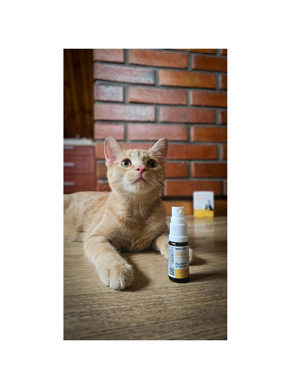 Lab-v ADE Complex – Kompleks witamin A, D i E w formie spreju dla psów i kotów 2 x 10ml