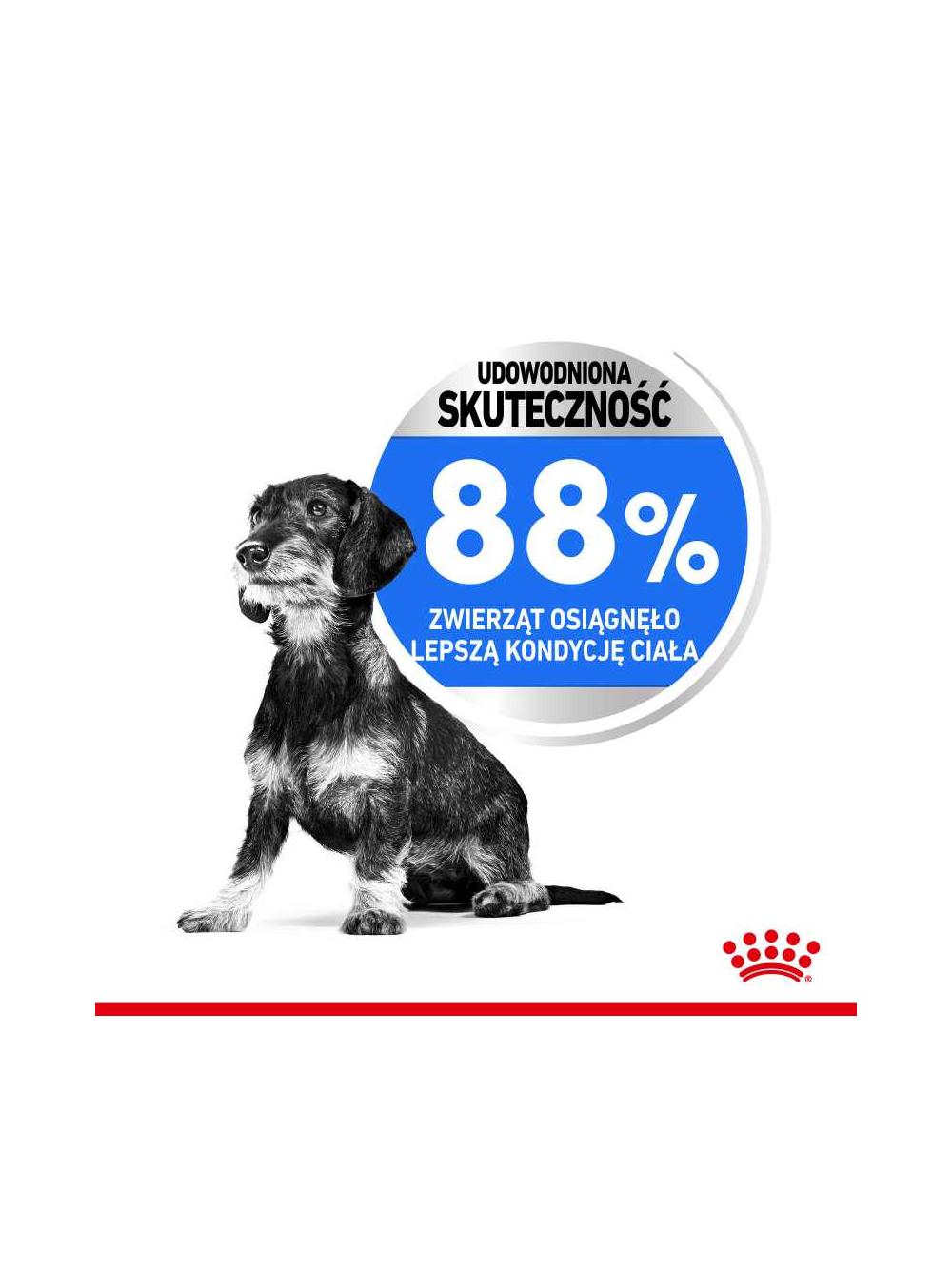 ROYAL CANIN CCN Mini Light Weight Care 3kg karma sucha dla psów dorosłych, ras małych z tendencją do nadwagi