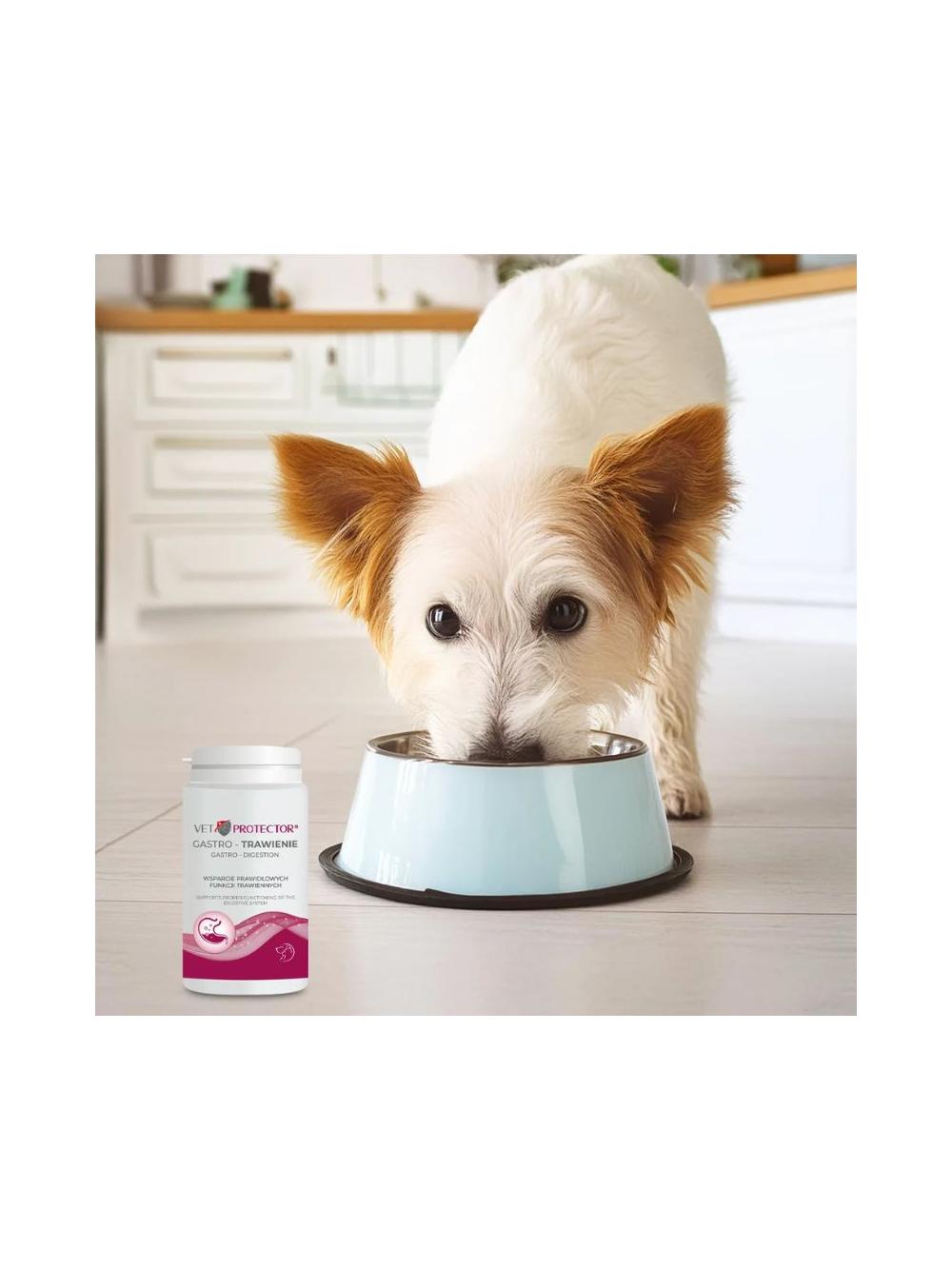 VET PROTECTOR® GASTRO – TRAWIENIE – wsparcie trawienia u psów i kotów 150 g