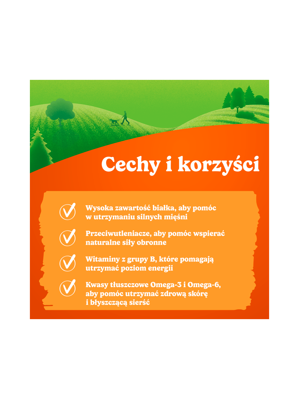 Friskies Picnic dla dorosłych psów z kurczakiem 3x42g (5 sztuk)