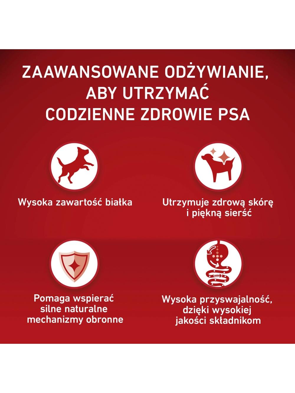 PURINA ONE Adult Mini/Small Karma dla dorosłych psów bogata w wołowinę z ryżem 3 kg/ opakowanie uszkodzone (7138)!!