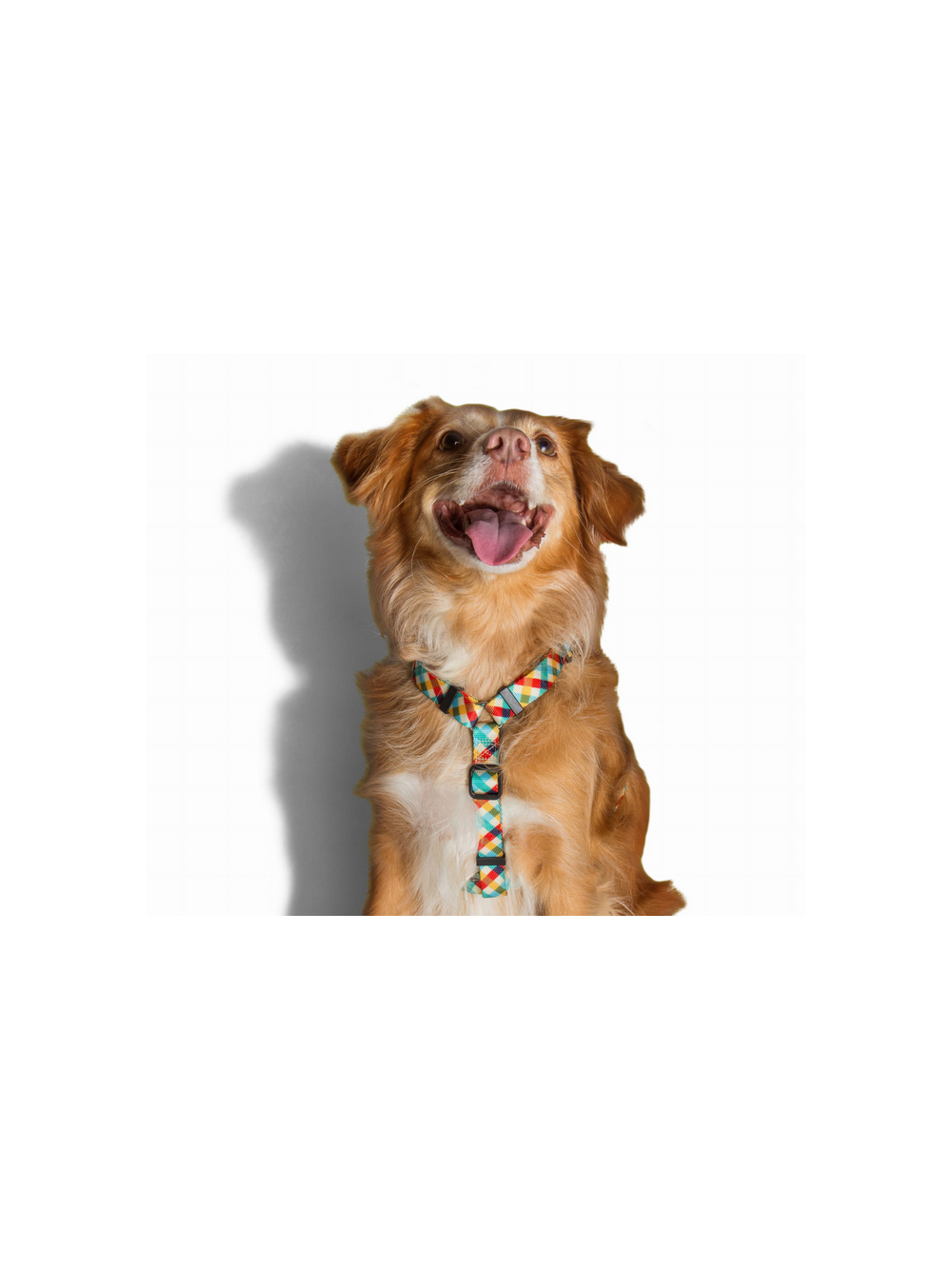 ZEE DOG Szelki dla psa Phantom M