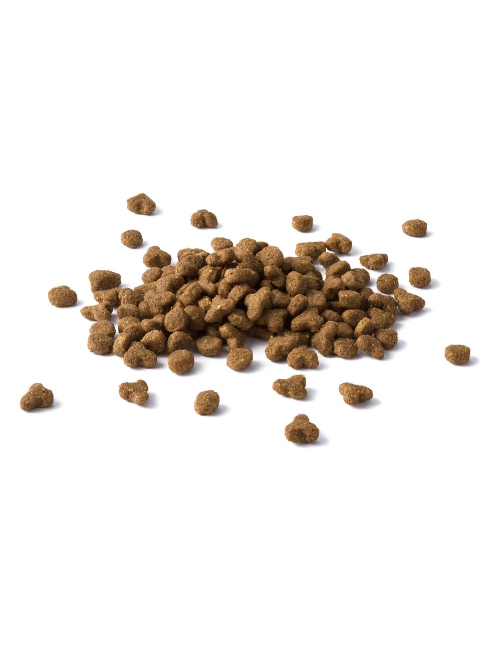 PURINA Cat Chow Adult Duck Karma z kaczką 15kg