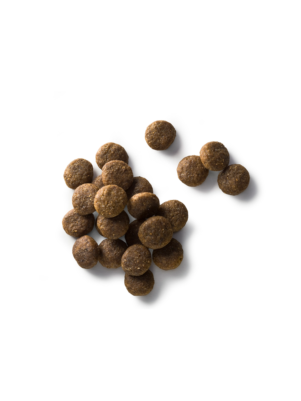 Faunakram Complete Super Premium Grain Free sucha karma dla psów z jagnięciną i kurczakiem 10kg