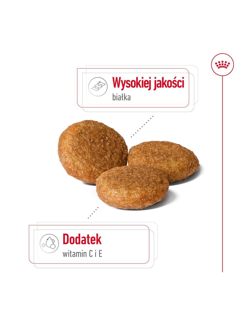 ROYAL CANIN®   Medium Adult 14,6 kg karma sucha dla psów dorosłych ras średnich, do 7 roku życia / Opakowanie uszkodzone (9529) !!!