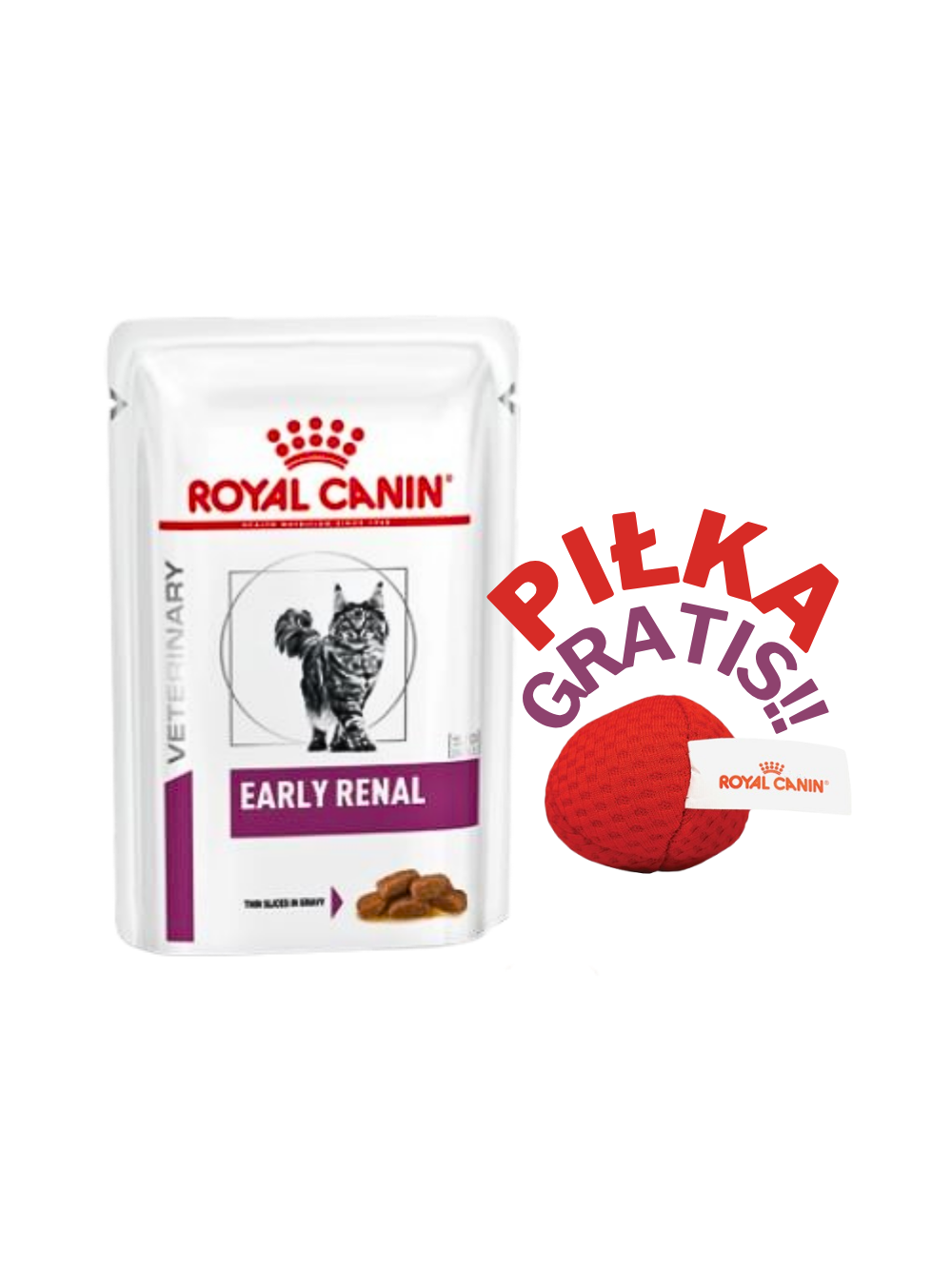 ROYAL CANIN Cat Early Renal 12x85g saszetka + PIŁKA GRATIS!!