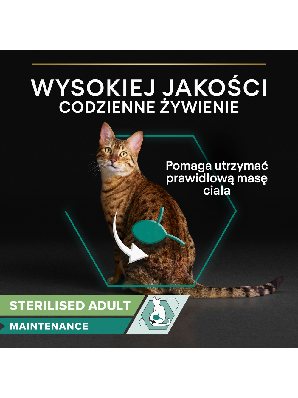 Purina Pro Plan Sterilised z kurczakiem dla kota 26x85g