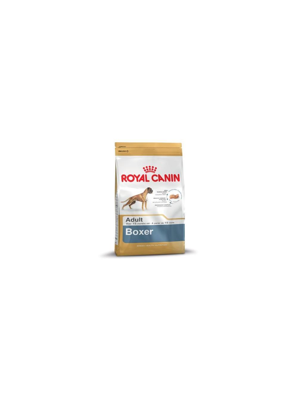 ROYAL CANIN Boxer Adult 12kg karma sucha dla psów dorosłych rasy bokser  + niespodzianka dla psa GRATIS!