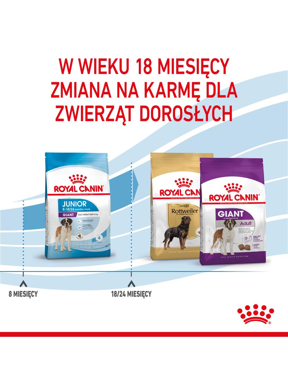 ROYAL CANIN Giant Junior 15kg karma sucha dla szczeniąt  od 8 do 18/24 miesiąca życia, ras olbrzymich