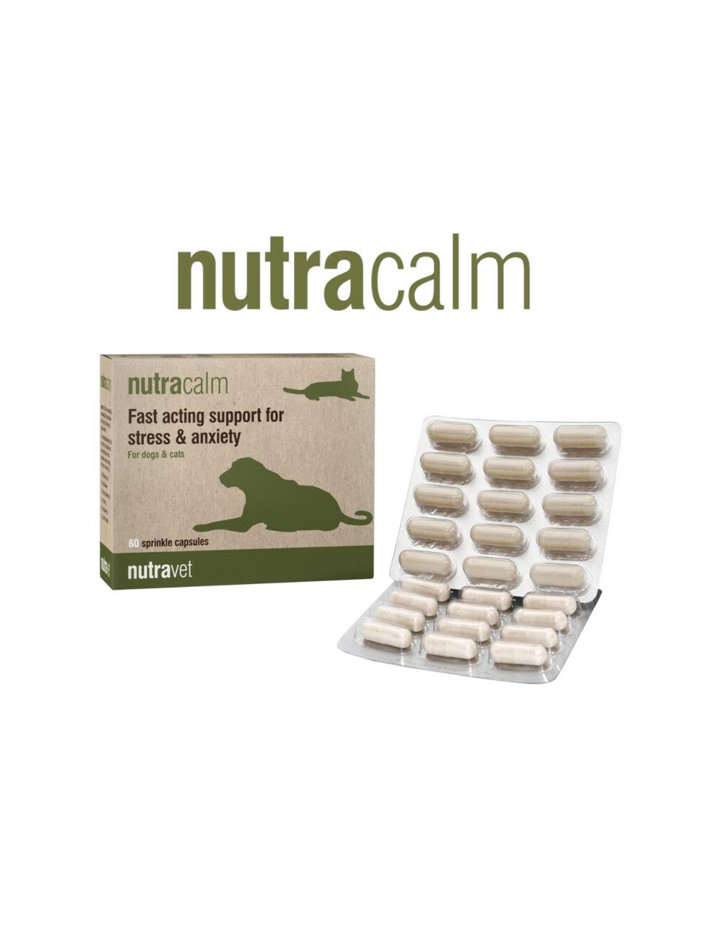 NUTRAVET Nutracalm for dogs & cats 60kaps-szybko działające wsparcie w stresie i niepokoju