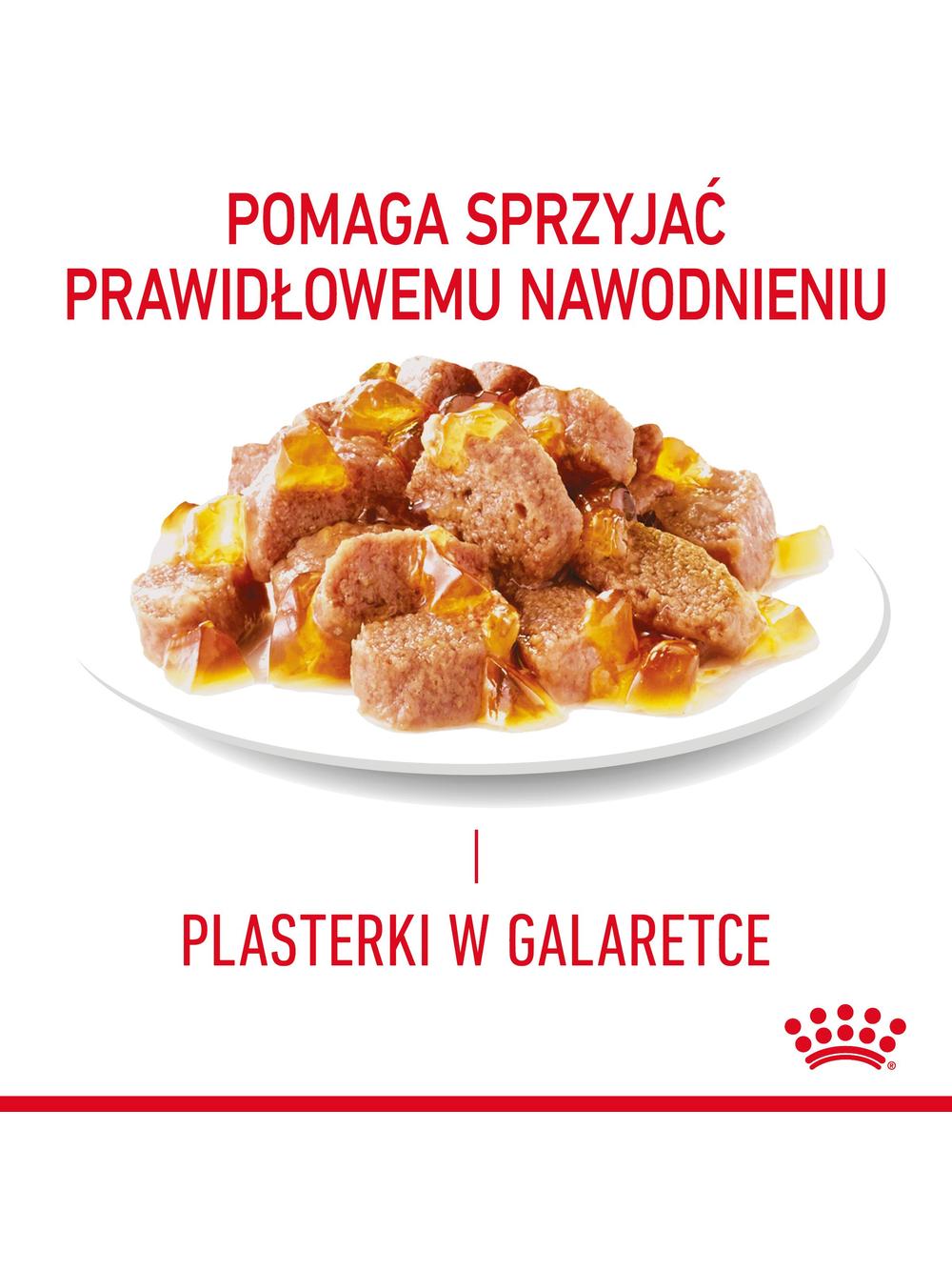 ROYAL CANIN Hair&Skin 12x85g w galaretce karma mokra w galaretce dla kotów dorosłych, zdrowa skóra, piękna sierść + niespodzianka dla kota GRATIS!