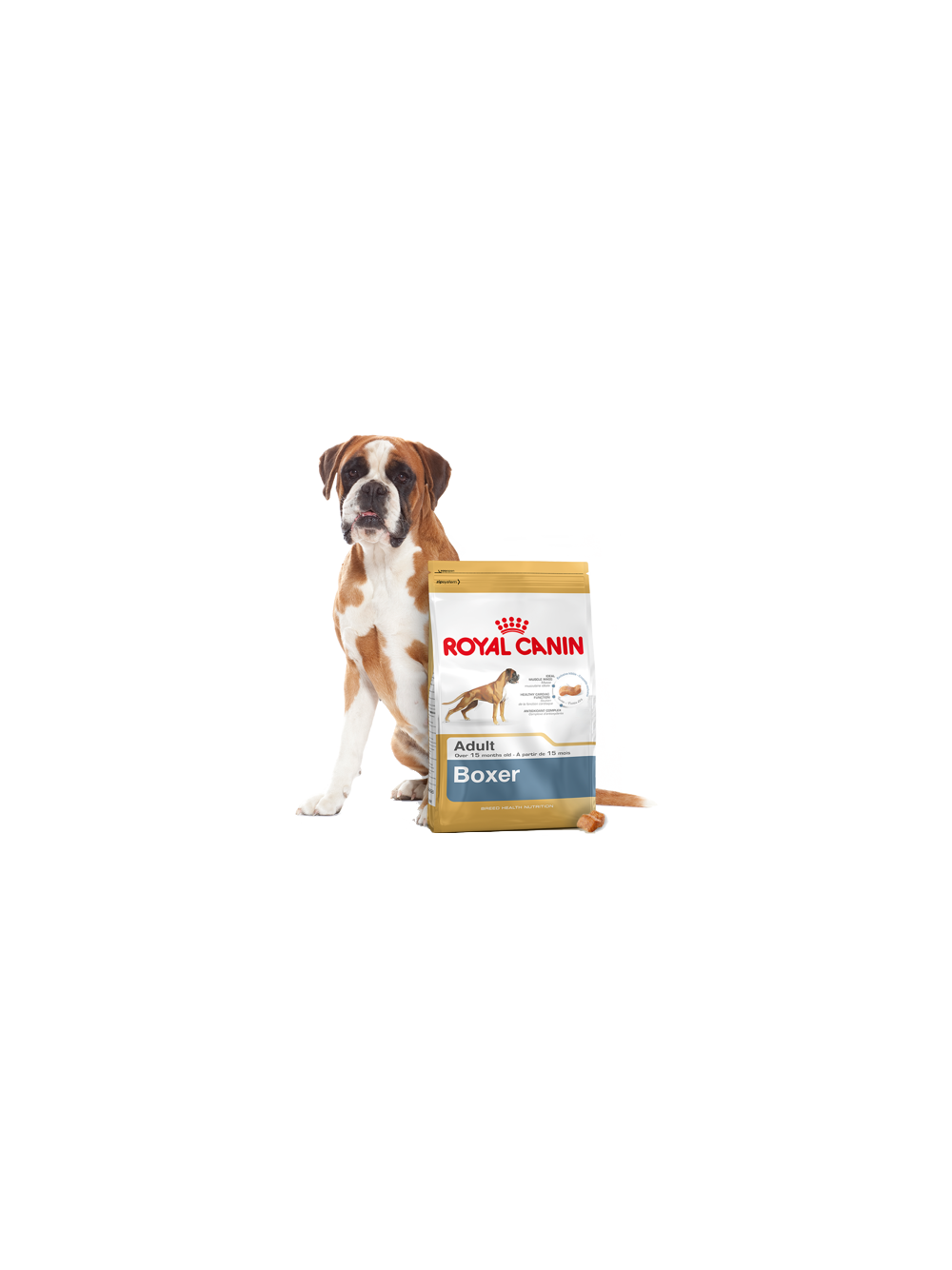 ROYAL CANIN Boxer Adult 12kg karma sucha dla psów dorosłych rasy bokser