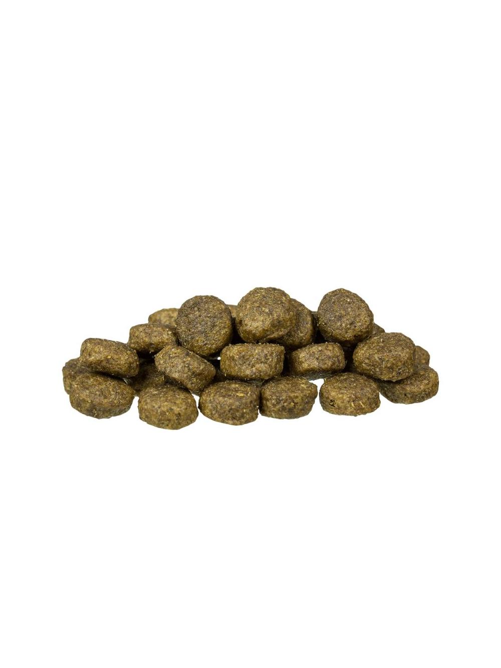Bosch Sensitive Lamb & Rice, jagnięcina i ryż (nowa receptura) 15kg + Niespodzianka dla psa GRATIS