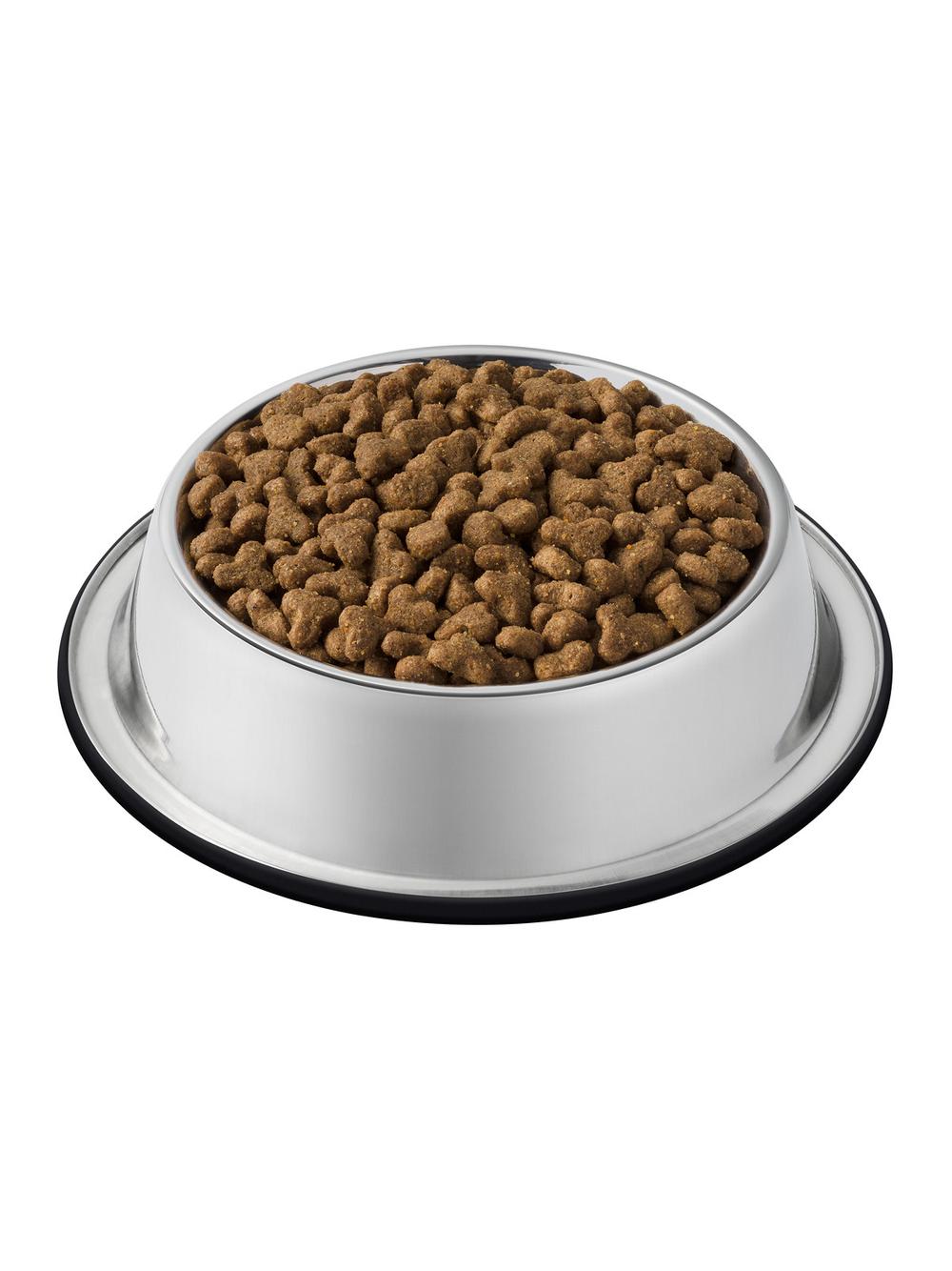 PURINA Cat Chow Adult Duck Karma z kaczką 15kg