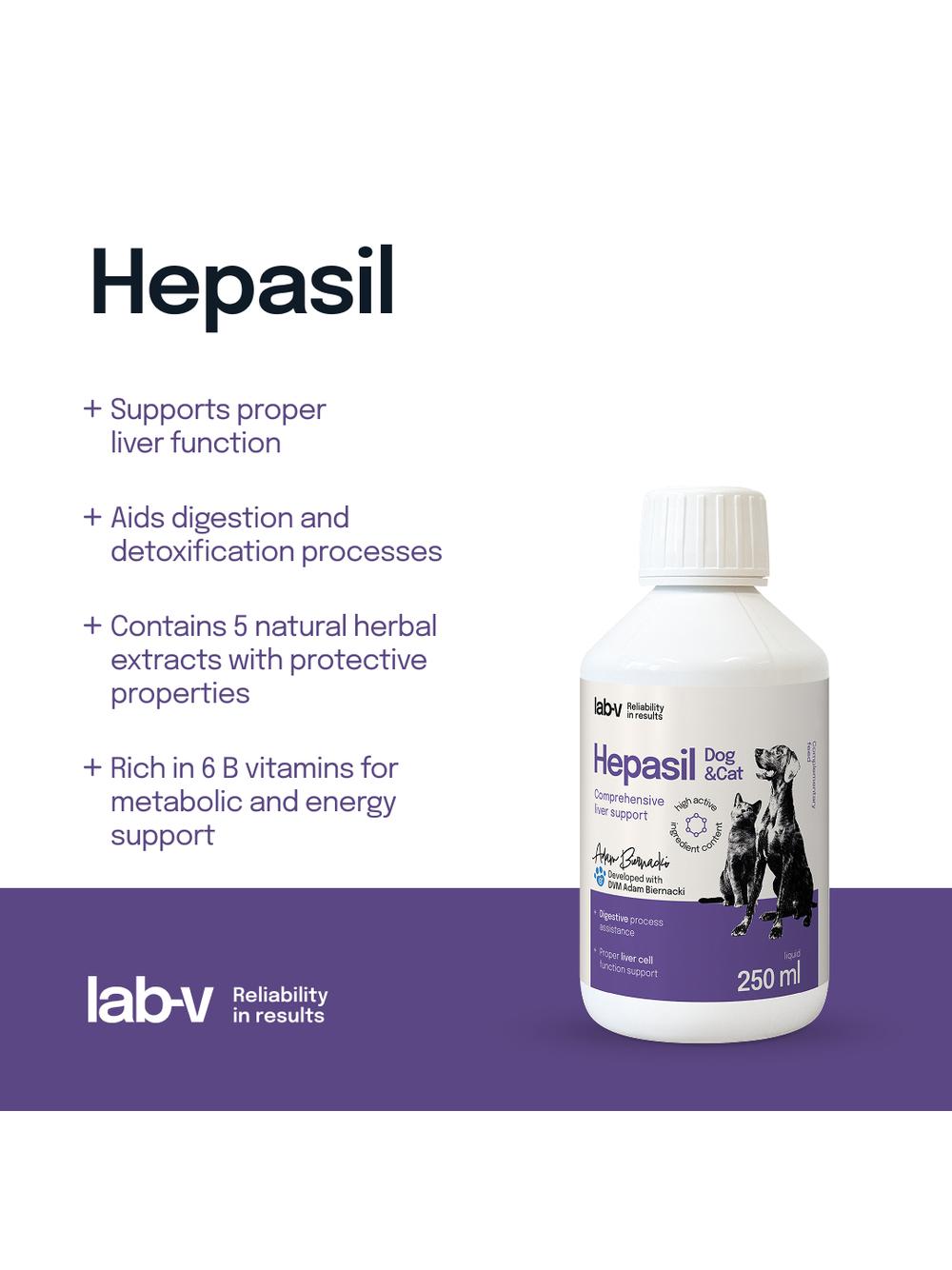 Lab-v Hepasil Dog & Cat preparat na poprawę funkcjonowania wątroby dla psa i kota 250 ml