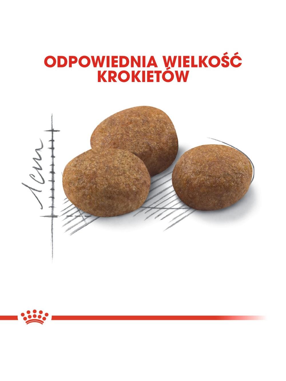 ROYAL CANIN  Sterilised +7 400g karma sucha dla kotów dorosłych, od 7 do 12 roku życia życia, sterylizowanych + niespodzianka dla kota GRATIS!