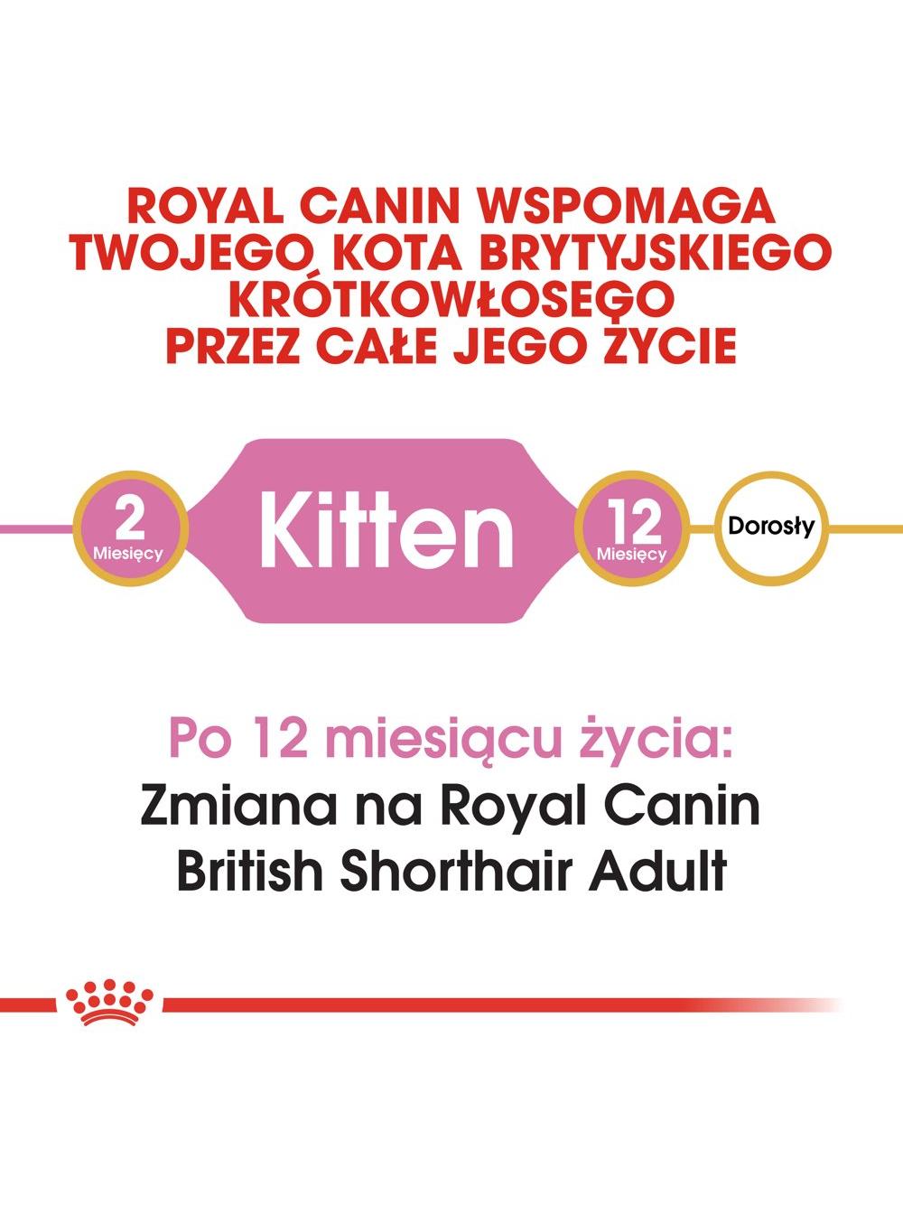 ROYAL CANIN British Shorthair Kitten 2kg karma sucha dla kociąt, do 12 miesiąca, rasy brytyjski krótkowłosy