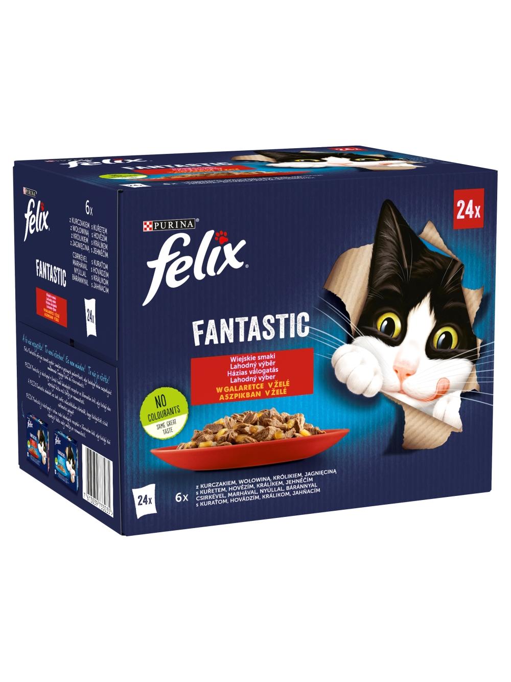 FELIX Fantastic Wiejskie Smaki w galaretce: 24x85g