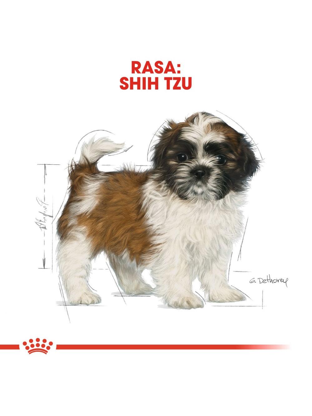 ROYAL CANIN Shih Tzu Puppy 1,5kg karma sucha dla szczeniąt do 10 miesiąca, rasy shih tzu