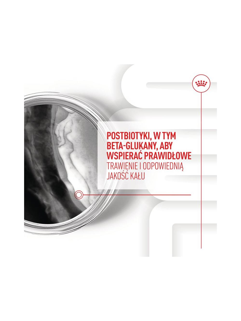 Royal Canin Puppy Immunity & Digestion Chews 100g