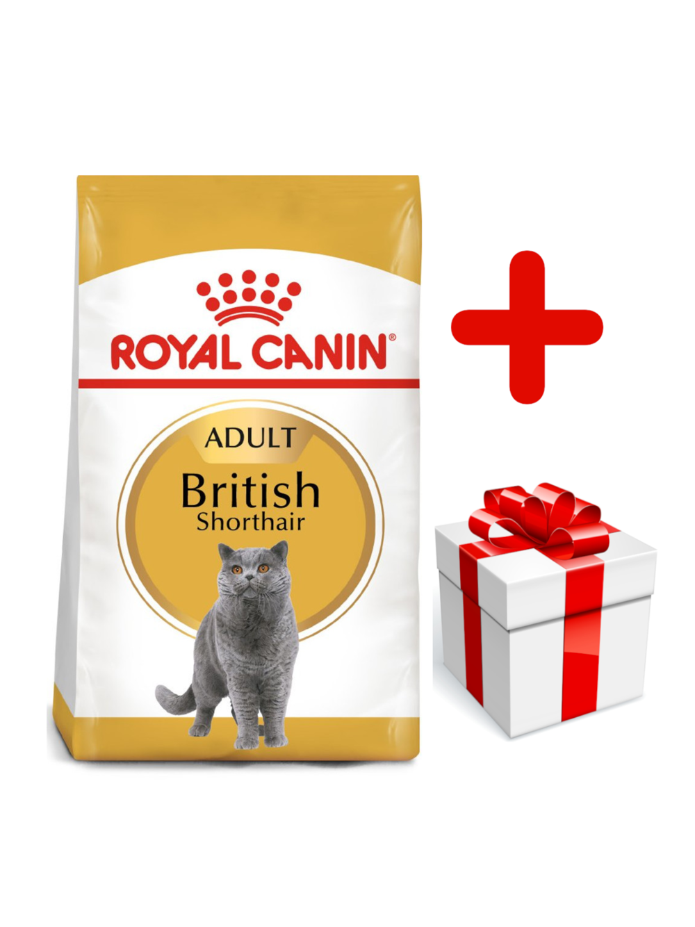 ROYAL CANIN British Shorthair 10kg karma sucha dla kotów dorosłych rasy brytyjski krótkowłosy + niespodzianka dla kota GRATIS!