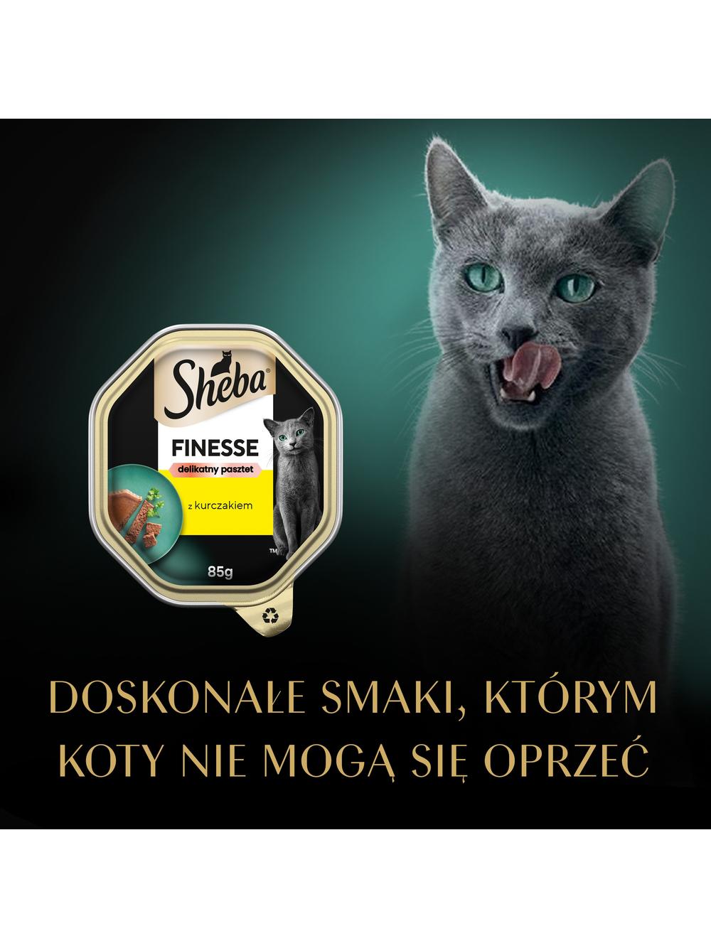 SHEBA Finesse tacka 22x85 g – mokra karma pełnoporcjowa dla dorosłych kotów, z kurczakiem, w pasztecie