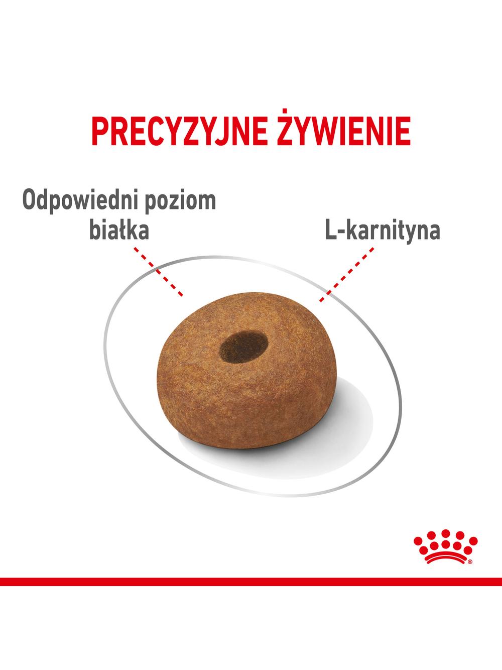 ROYAL CANIN CCN Maxi Light Weight Care 12kg karma sucha dla psów dorosłych, ras dużych z tendencją do nadwagi