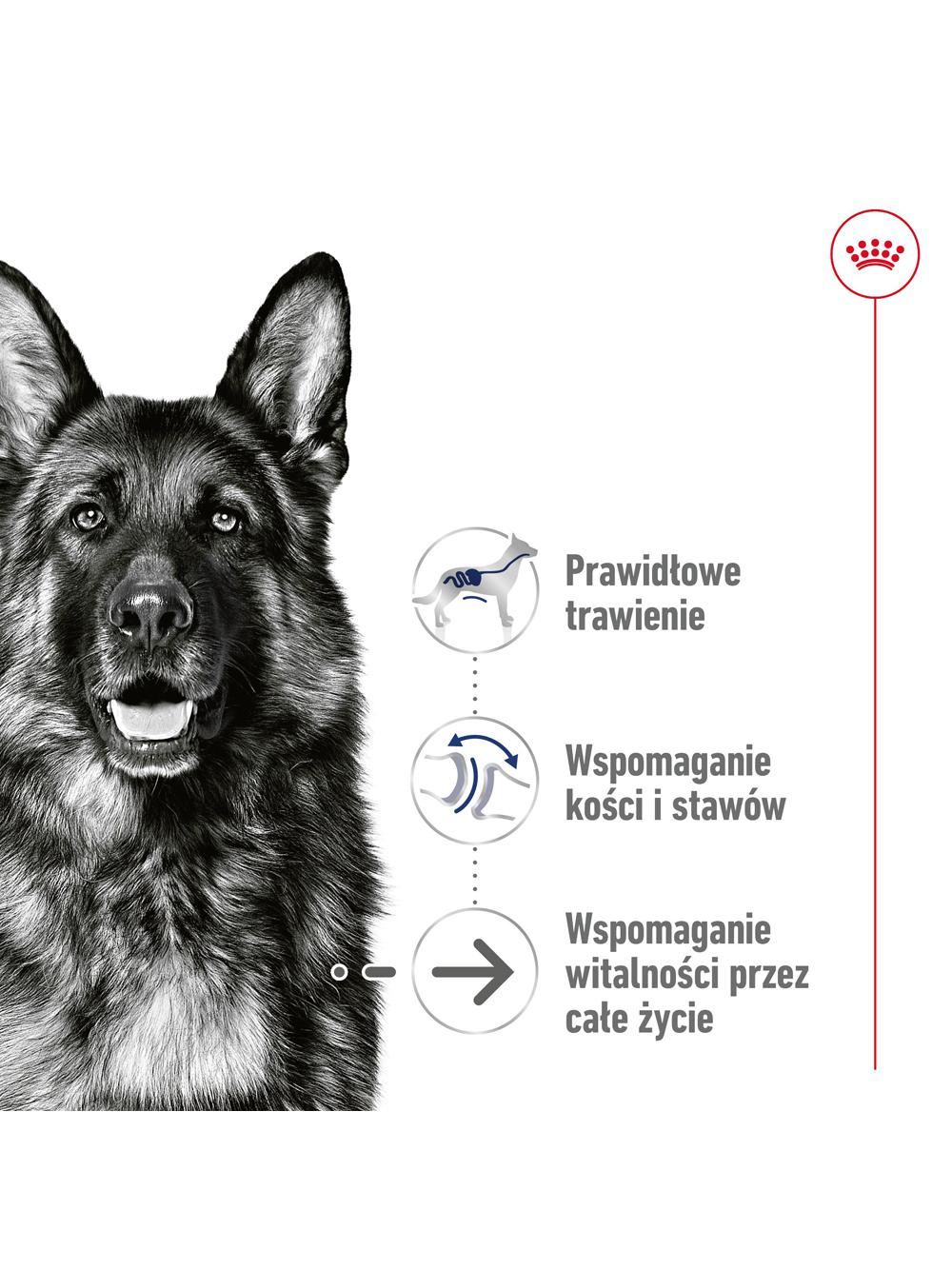 ROYAL CANIN®  Maxi Ageing 5+ 410g karma mokra , pasztet dla psów starszych od 5. roku życia, ras dużych