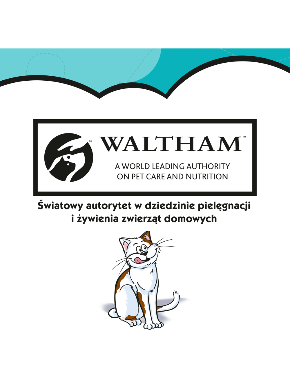 DREAMIES 6x60g –przysmak dla kota, o smaku wybornego łososia