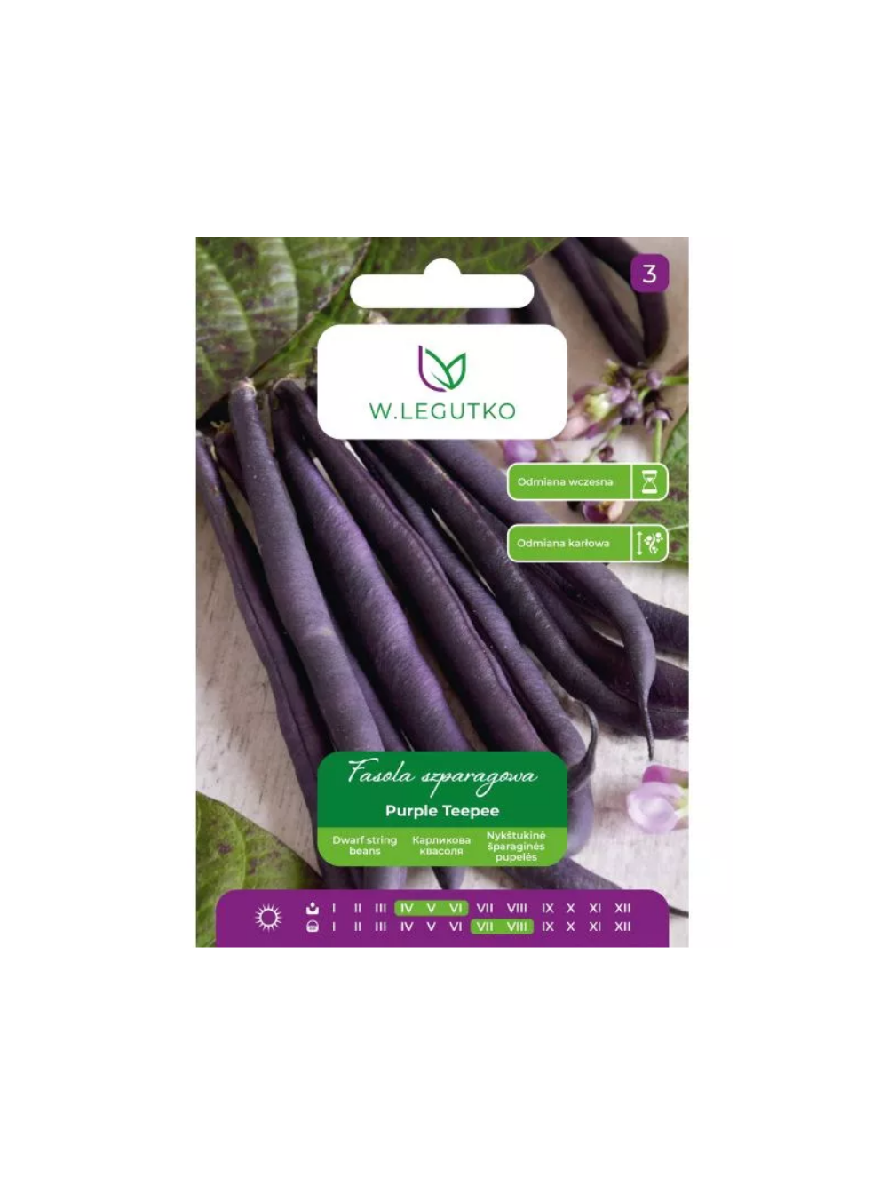 Fasola zwykła szparagowa karłowa fioletowostrąkowa Purple Teepee - wczesna