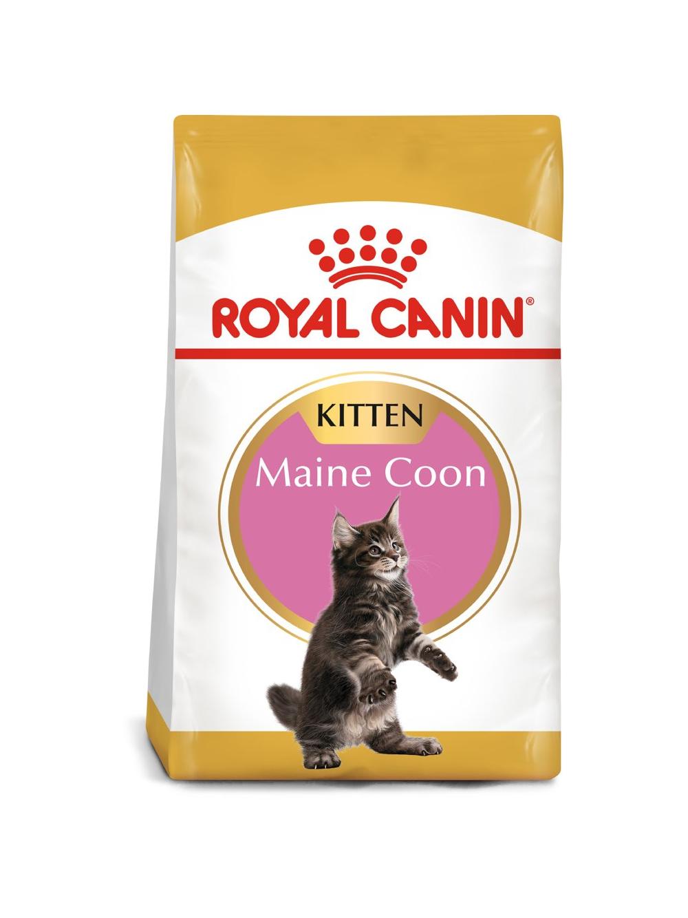 ROYAL CANIN Maine Coon Kitten 10kg +  niespodzianka dla kota GRATIS!