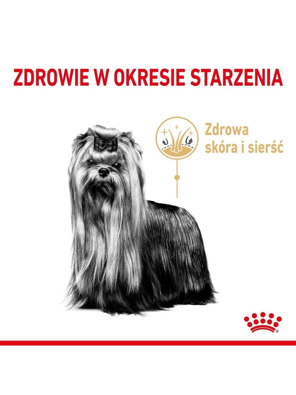 ROYAL CANIN Yorkshire Terrier Adult 8+ 3kg-karma sucha dla dojrzałych psów rasy yorkshire terrier, powyżej 8 roku życia
