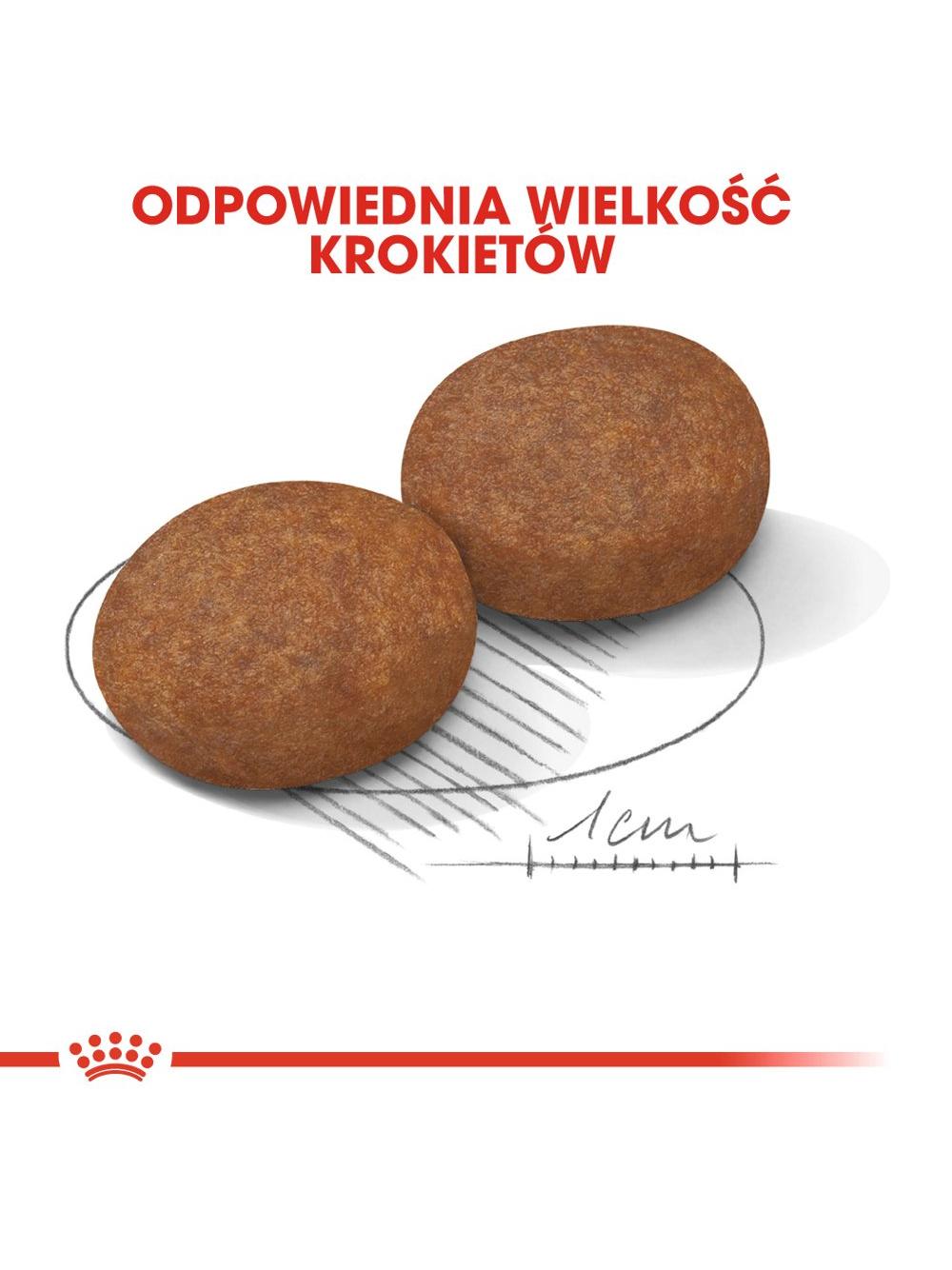 ROYAL CANIN Medium Adult 7+ 15kg karma sucha dla psów starszych od 7 do 10 roku życia, ras średnich + niespodzianka dla psa GRATIS!