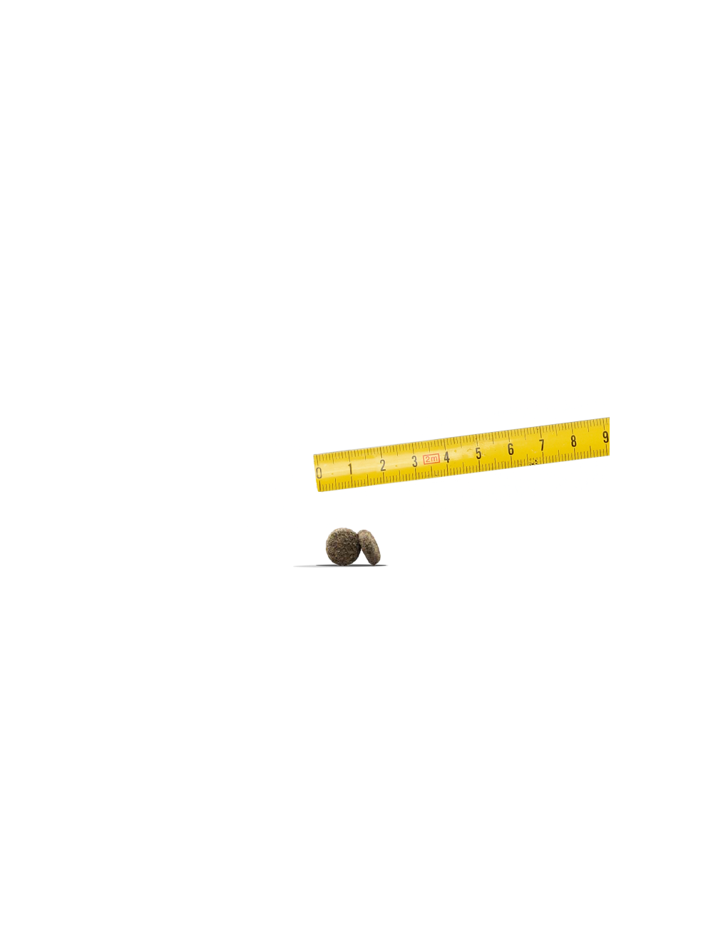 JOSERA Mini Adult Lamb 10kg