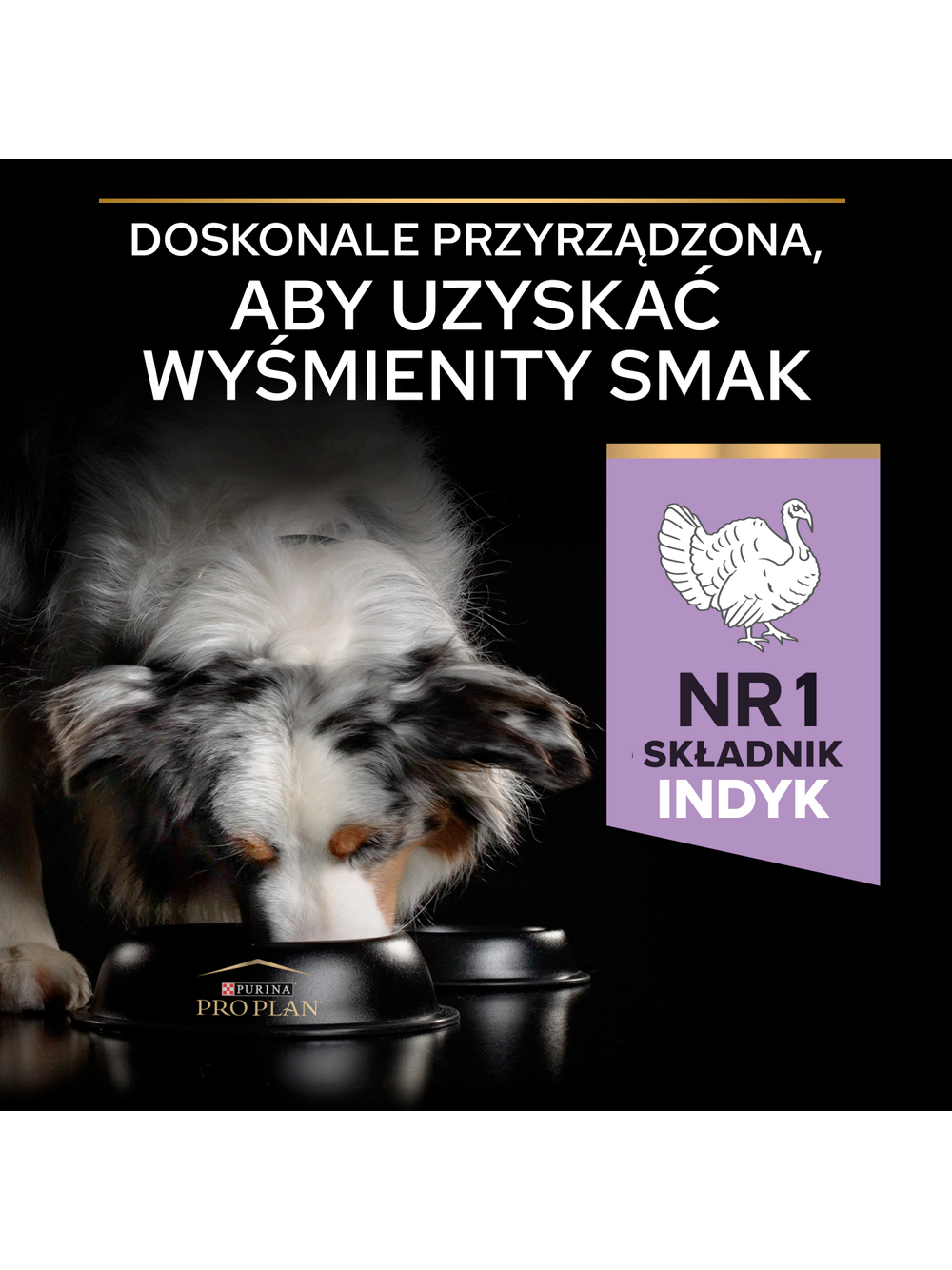 PRO PLAN Sensitive Digestion Medium & Large Adult Karma dla psów bogata w indyka 2,5kg