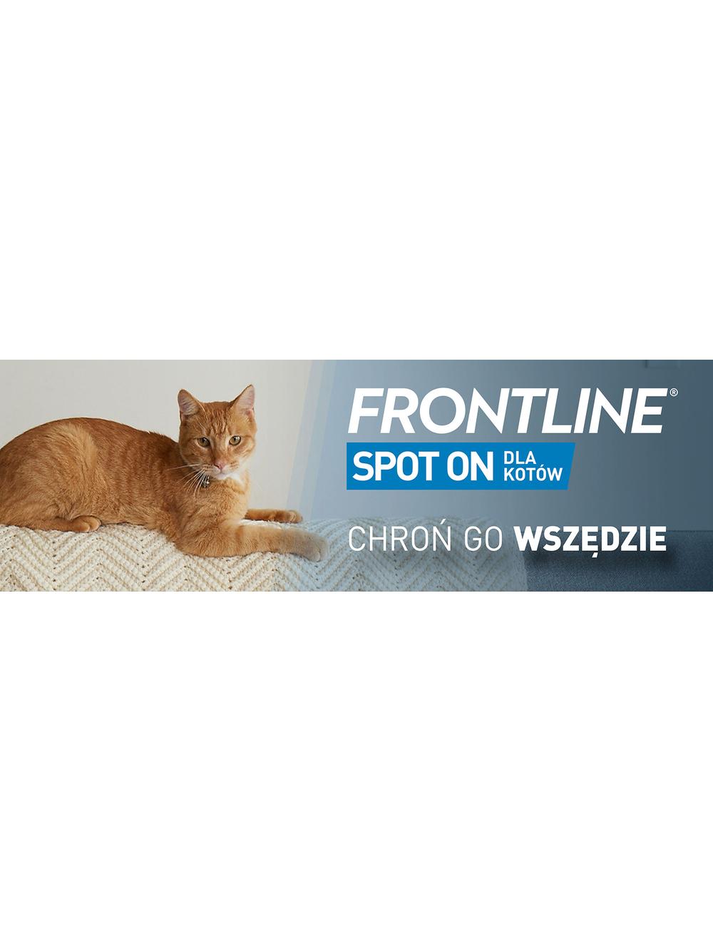 Frontline Spot On Kot dla kotów 3 x 0.5 ml