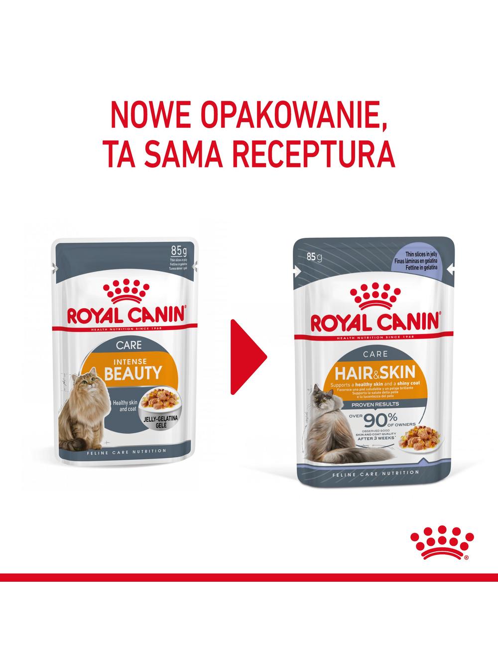 ROYAL CANIN Hair&Skin 12x85g w galaretce karma mokra w galaretce dla kotów dorosłych, zdrowa skóra, piękna sierść + niespodzianka dla kota GRATIS!