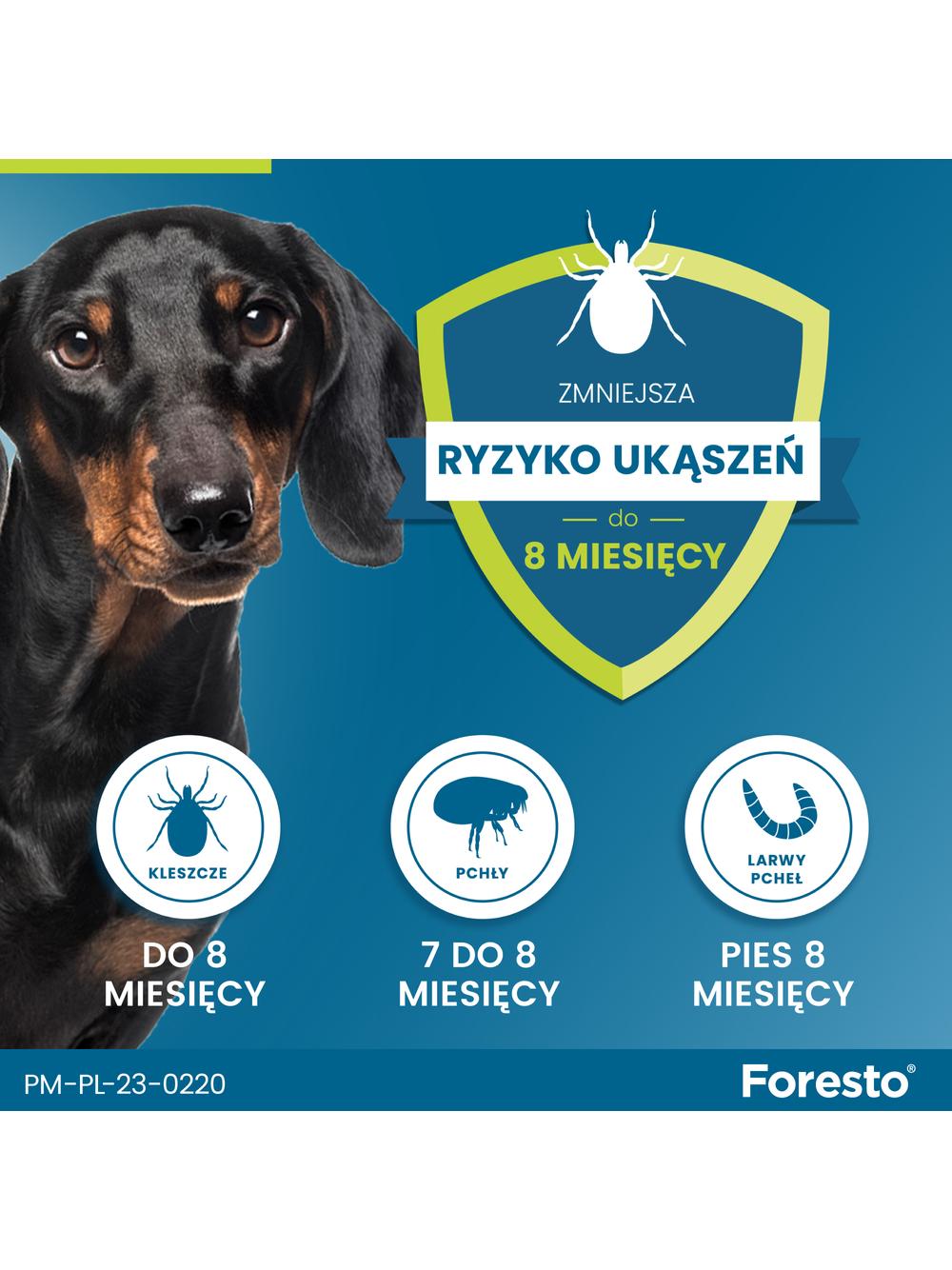 ELANCO Foresto Obroża dla psów powyżej 8kg+ TRIXIE Szczypce do usuwania kleszczy 9cm